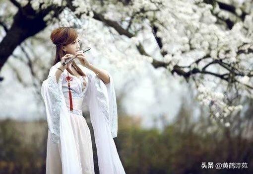 梧桐《喝火令》18首：香起白裙飘逸，邀请对下句？