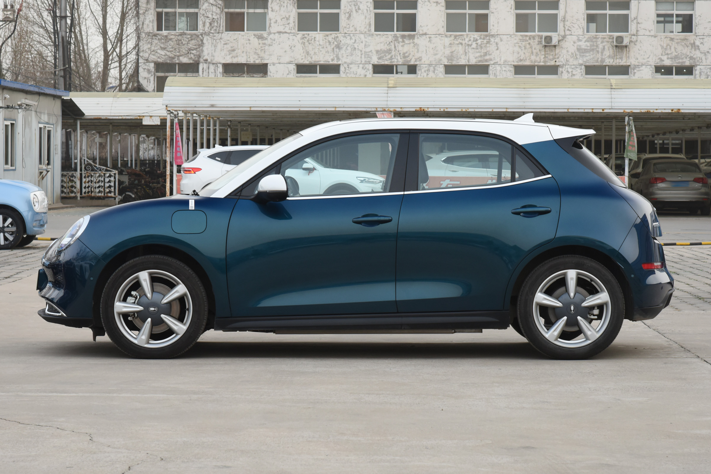 欧拉好猫萌宠版多少钱,欧拉好猫种类