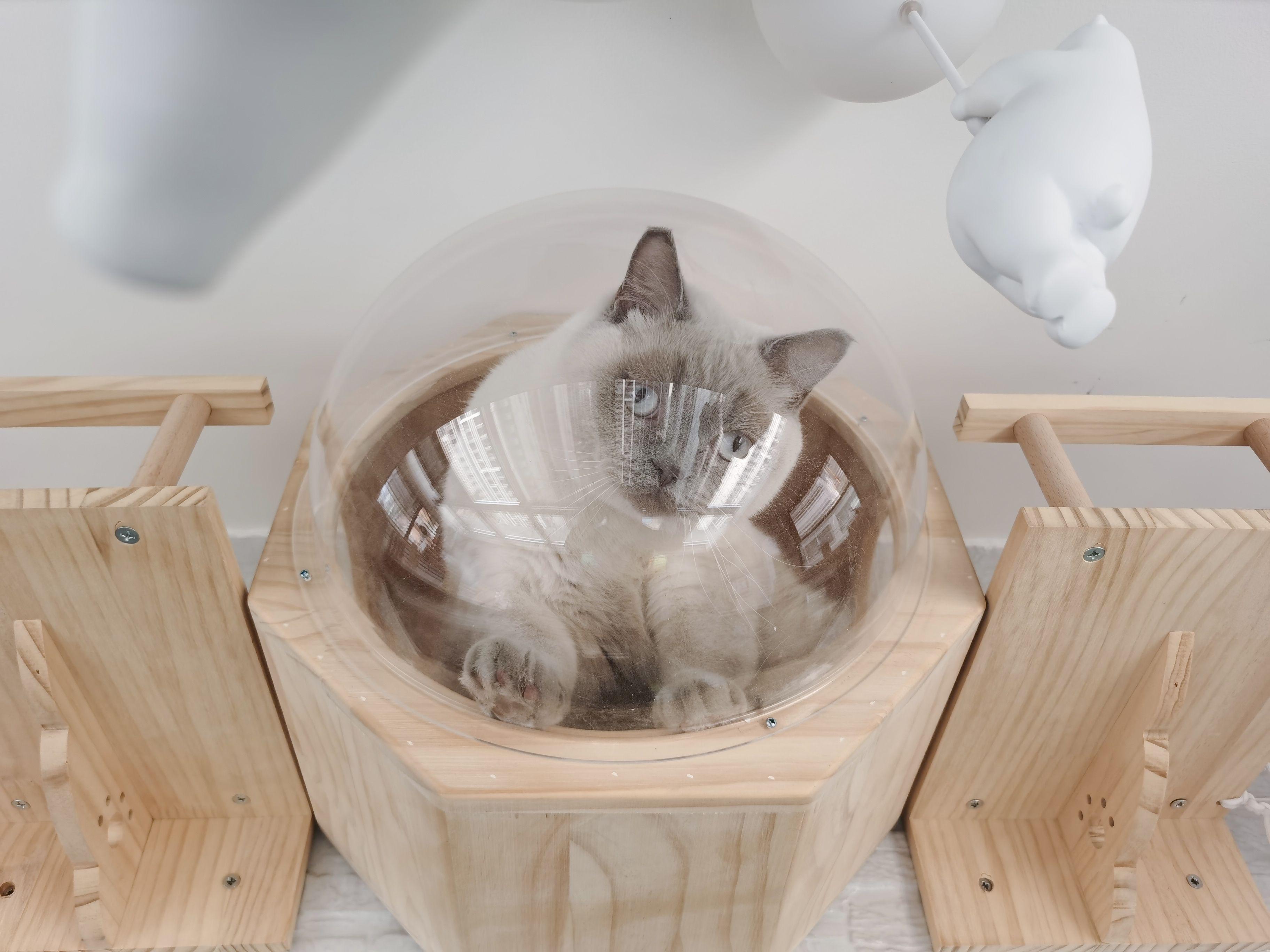 618家电别买清单,618家电选购