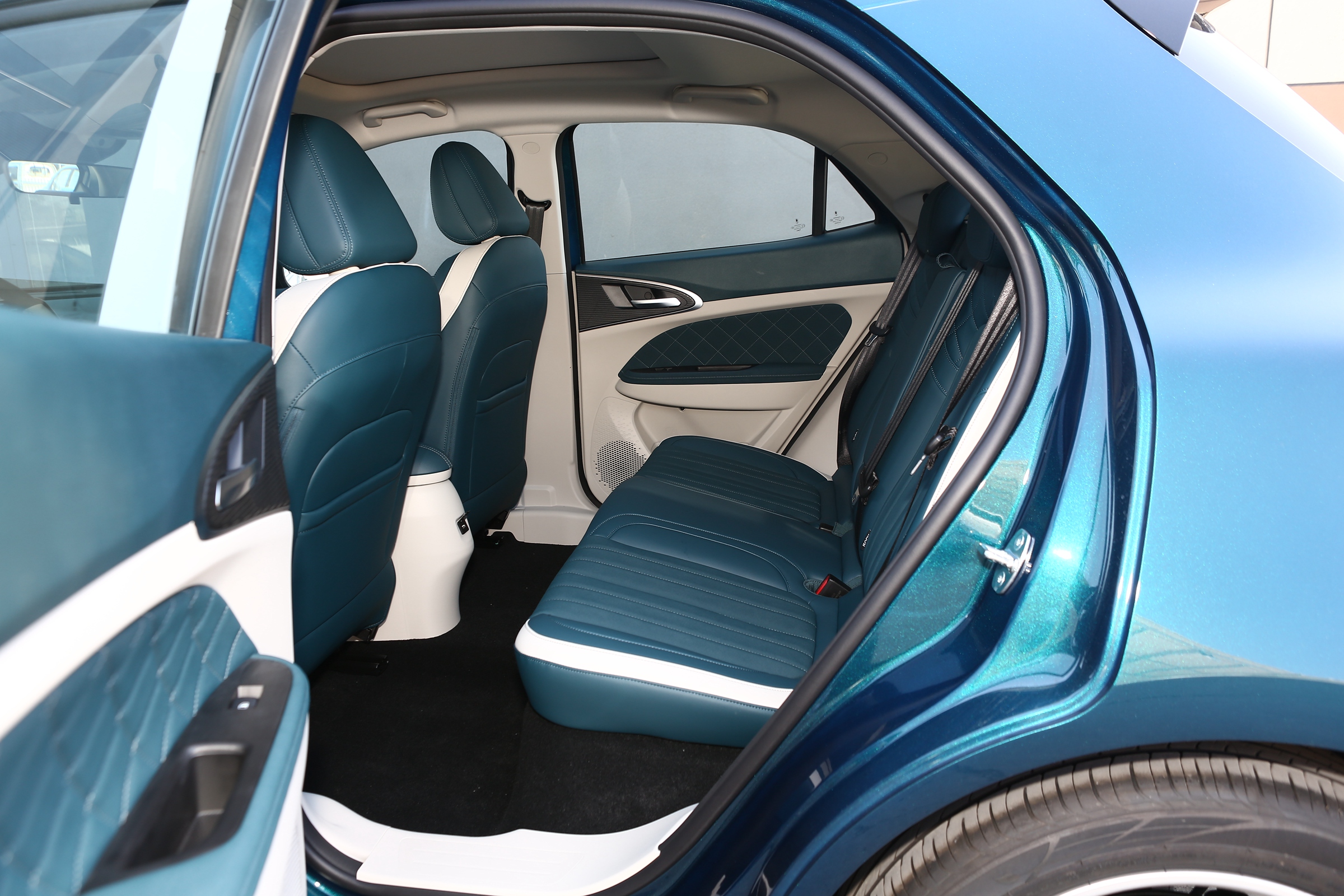 欧拉好猫萌宠版多少钱,欧拉好猫种类