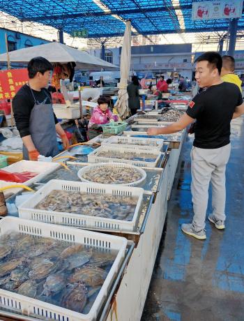 西安书籍批发市场有哪些,西安水产海鲜批发市场在哪里