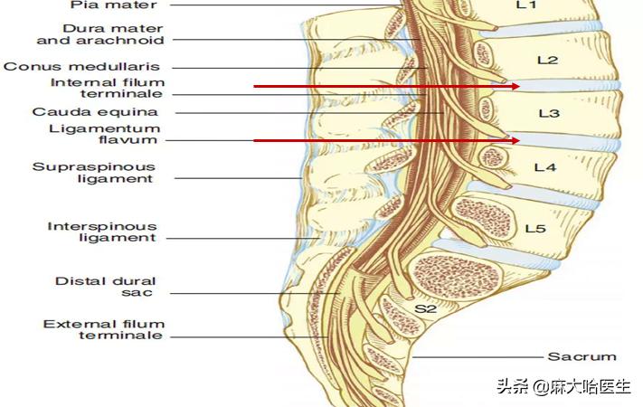 生孩子痛得要命,生孩子疼怎么办