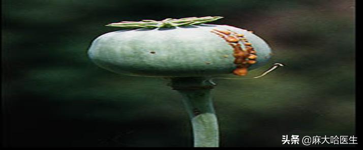 止痛药常见不良反应及其处理,常用止痛药作用及不良反应