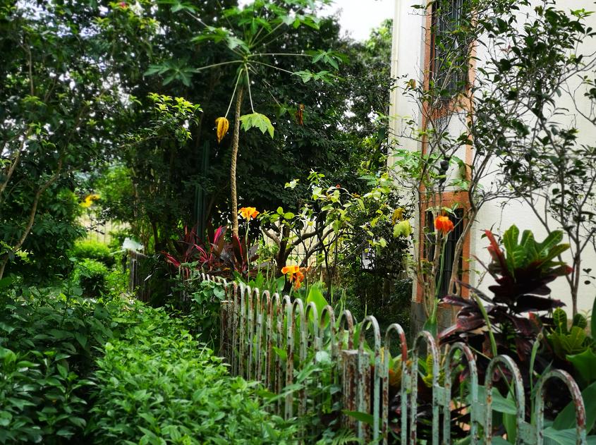 刘柏荣|豪*欲情**把春留住：花困东君酒点唇（原创诗词十首）