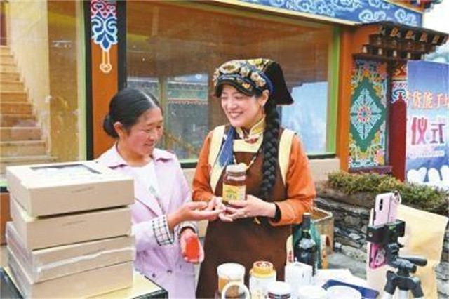 四川姑娘放弃高薪坚守大山,四川女孩嫁藏族小伙放弃百万年薪