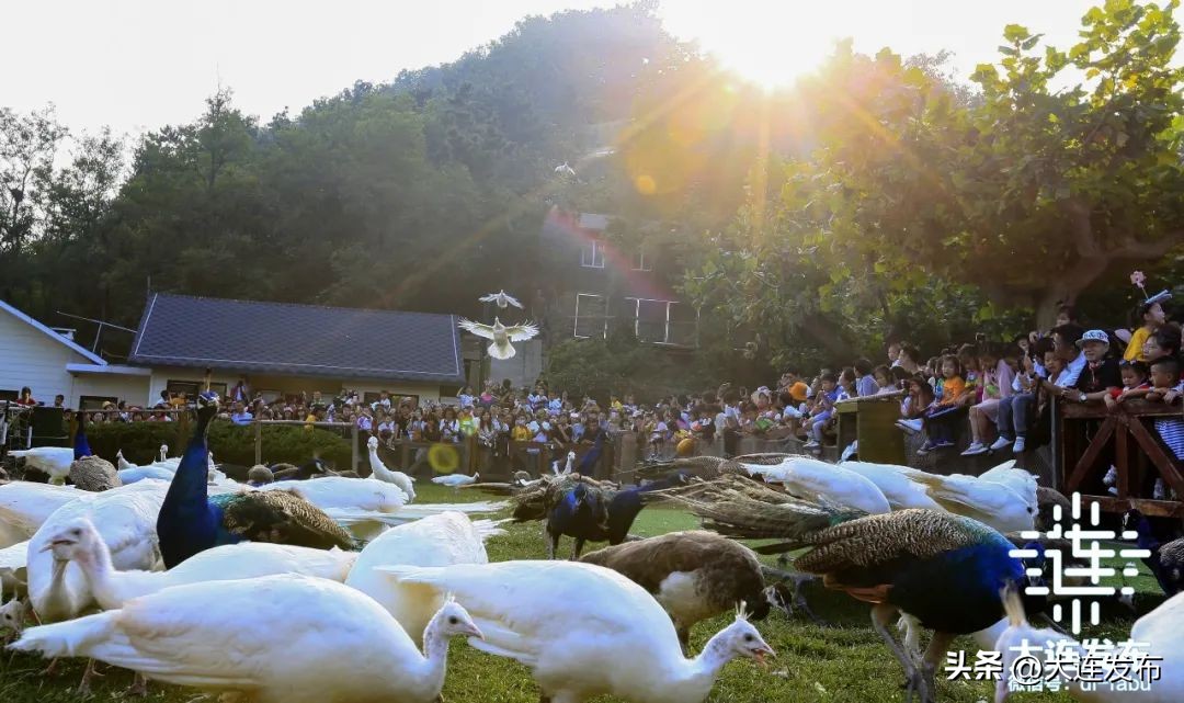 最新旅游景区发展,杭州大明山风景区五一攻略
