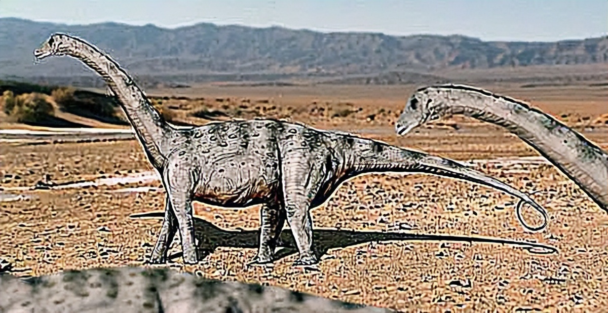 恐龙时代泰坦巨龙与雷龙,泰坦巨龙恐龙化石