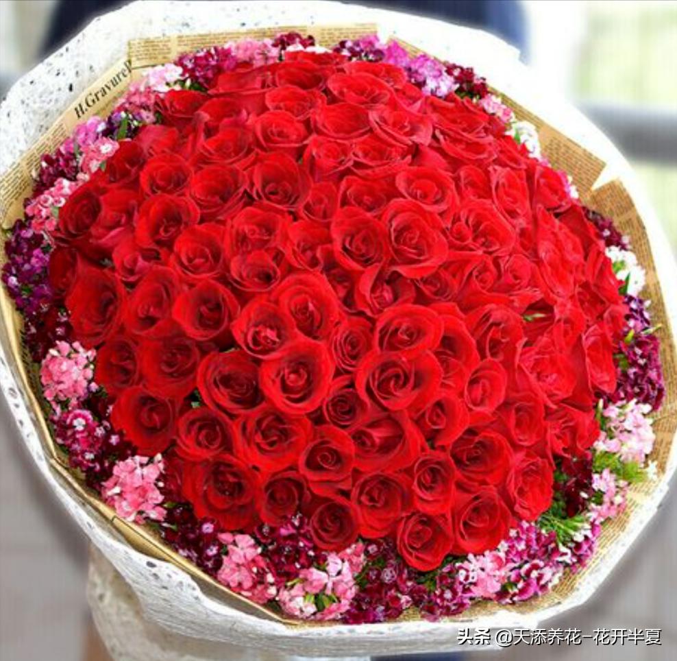 18朵粉色玫瑰花代表什么含义,5朵玫瑰花的寓意和花语是什么