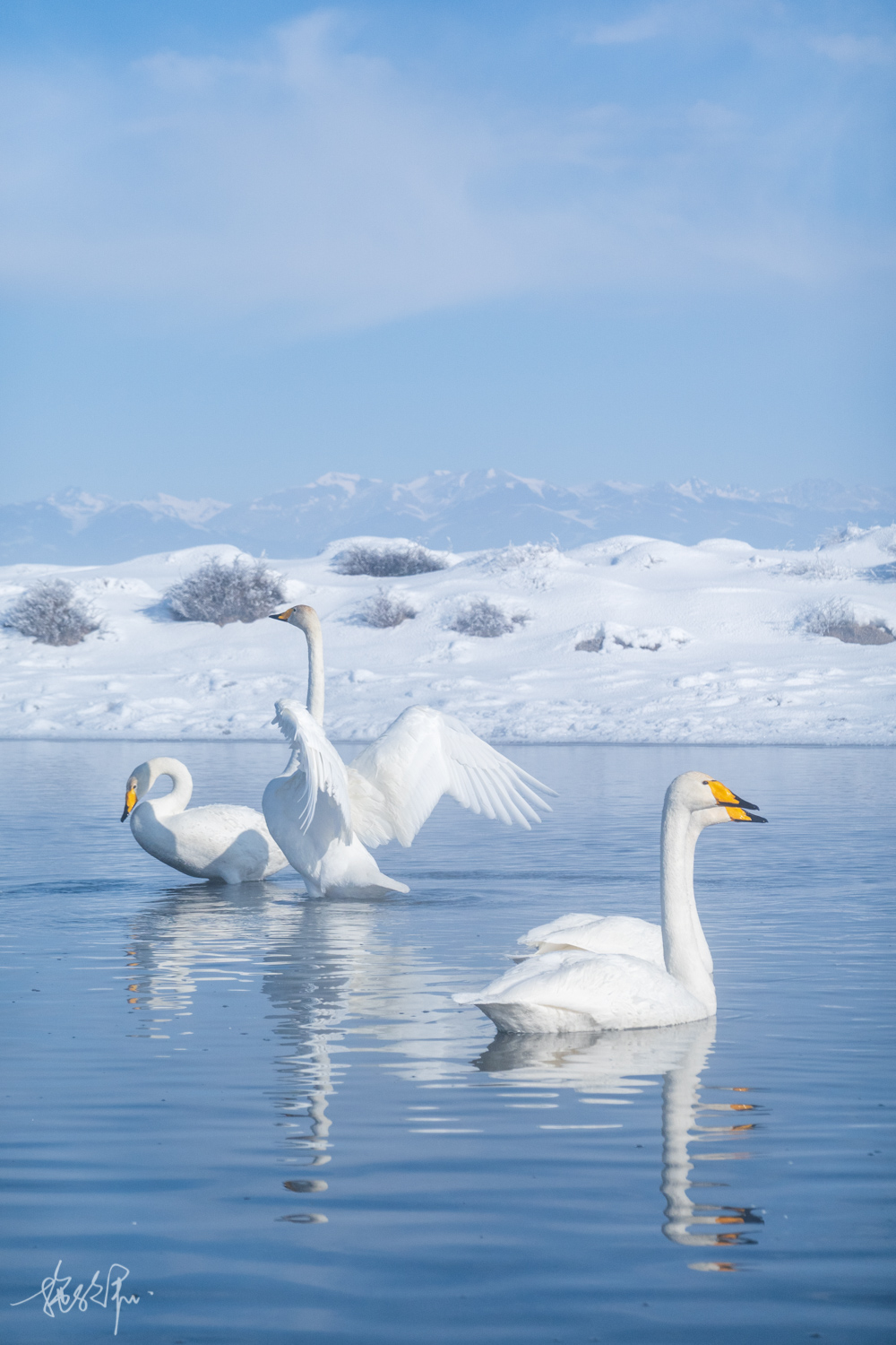 自驾游中亚五国,浅玩七天总结