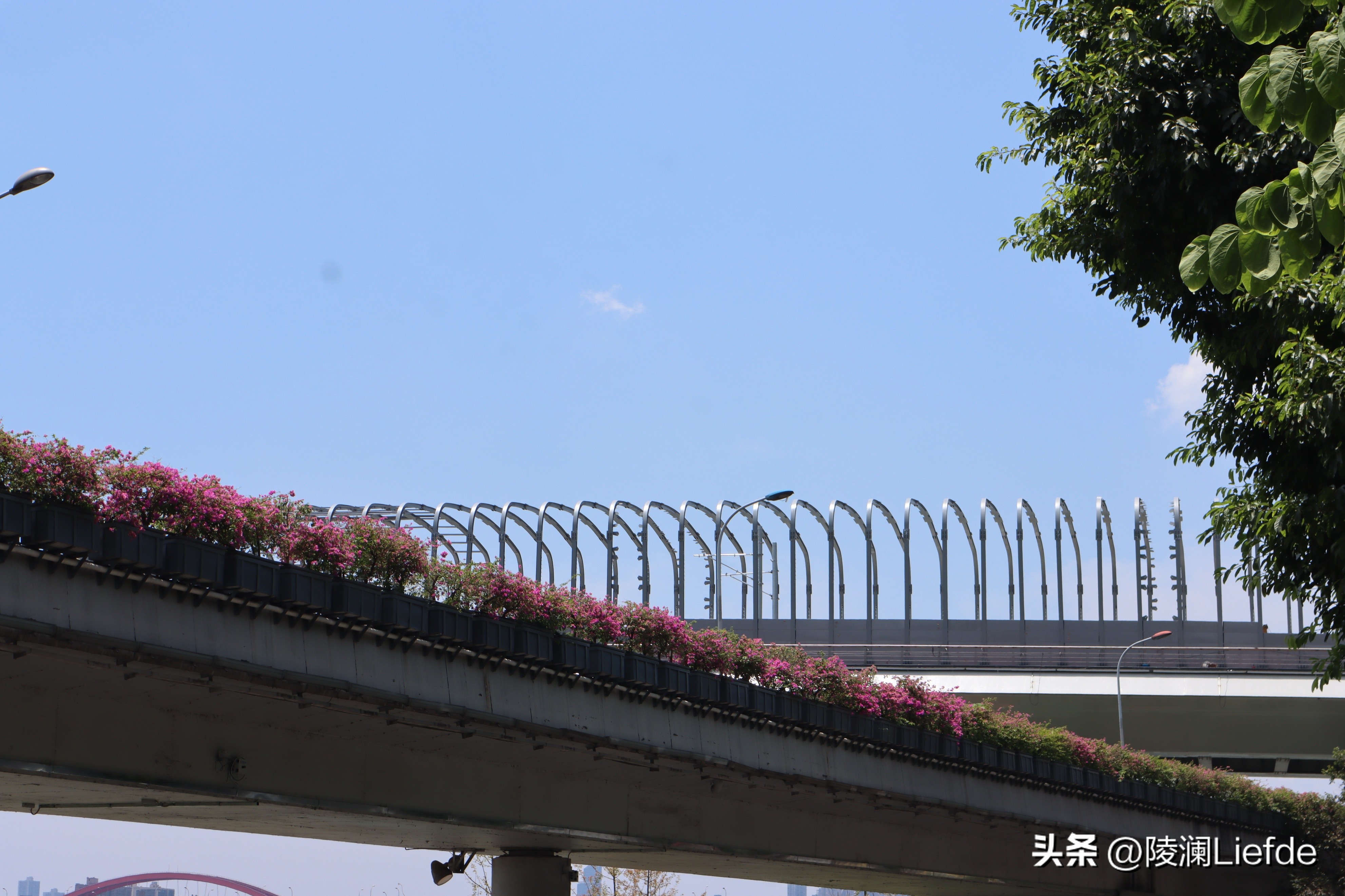 重庆踏青一日游景点推荐,重庆主城4月小众景点