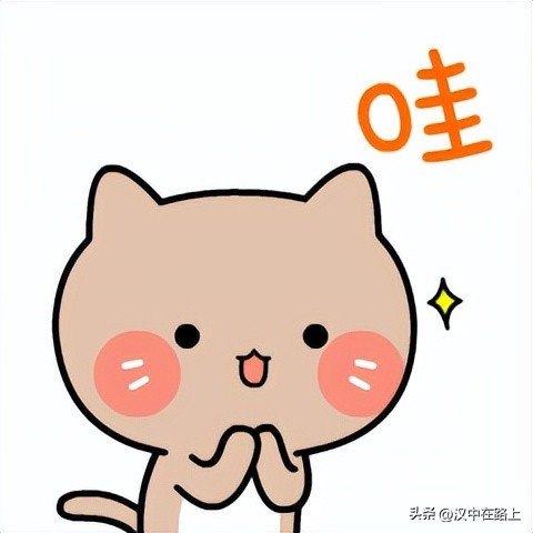 2016欢乐喜剧人总决赛亚军,欢乐喜剧人来汉中素材