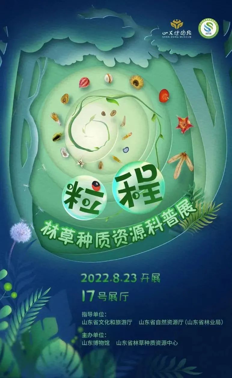 打卡山东博物馆和大明湖,山东博物馆打卡预约