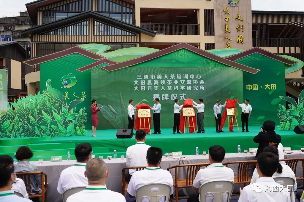 上海浦东大田美人茶迎来开茶季,海峡两岸美人茶大会福建大田举行