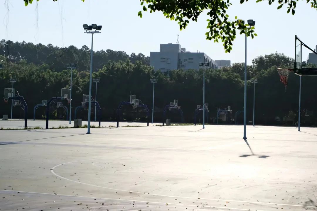 广州城建职业学院数字官网,广州城建职业学院从哪个门进