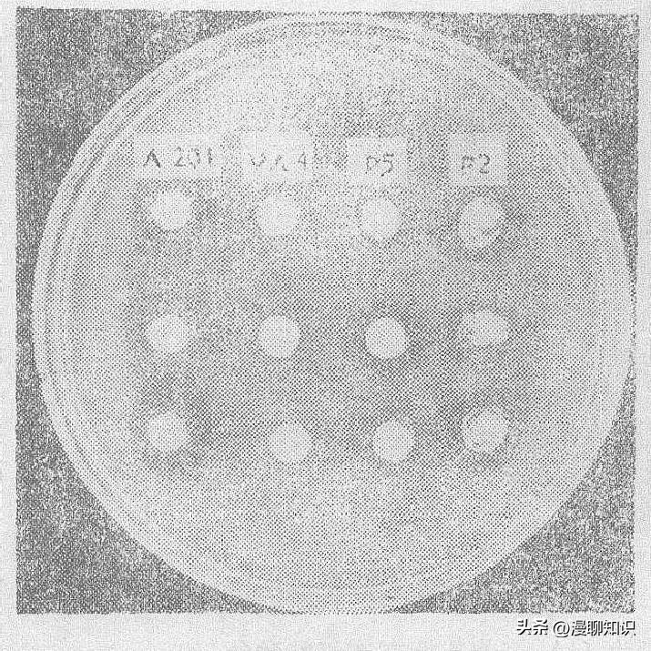 庆丰链霉菌是什么？关于它SQP1质粒的种间转移和表达
