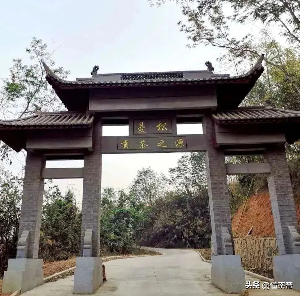 最贵的普洱茶是老班章吗,10年以上老班章普洱茶值多少钱