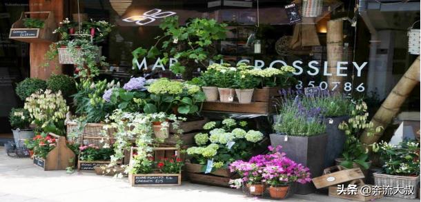 小白如何开一家赚钱的花店,如何做一个月入3万的花店