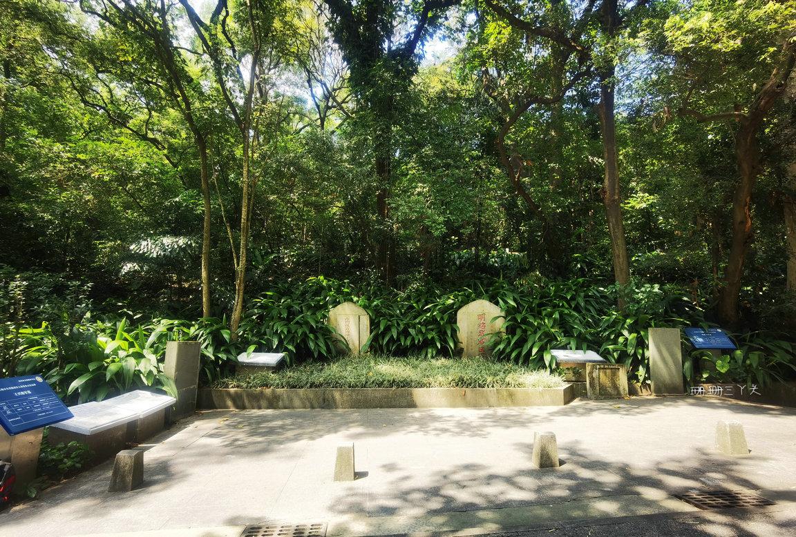 超详细的广东旅游攻略,广东宝藏小城旅游攻略