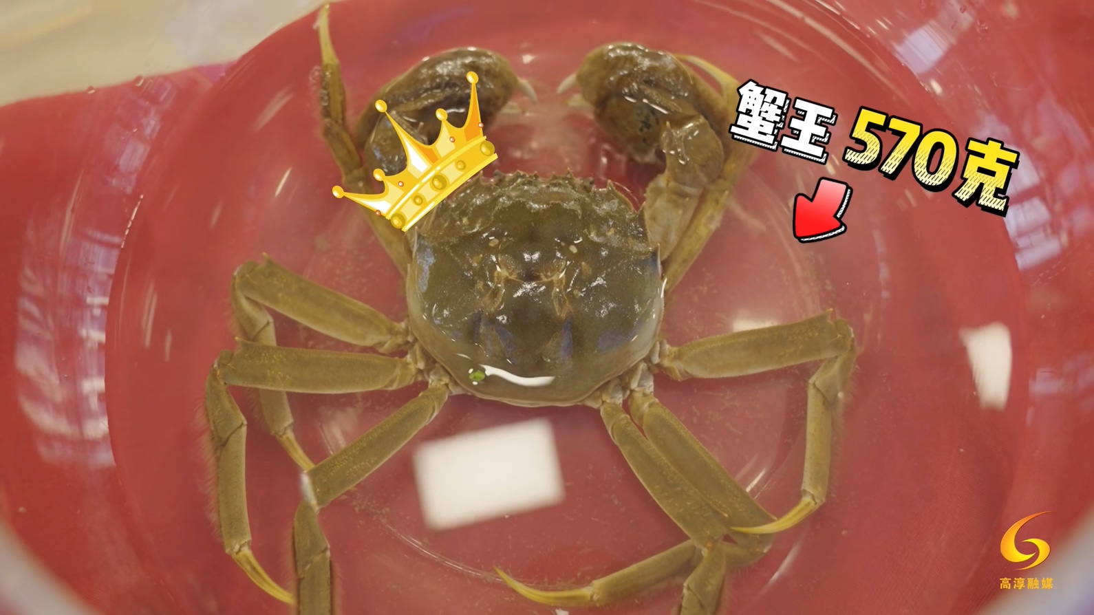 蟹王大闸蟹1.9斤什么价格,怎样买到固城湖270元十只的大闸蟹