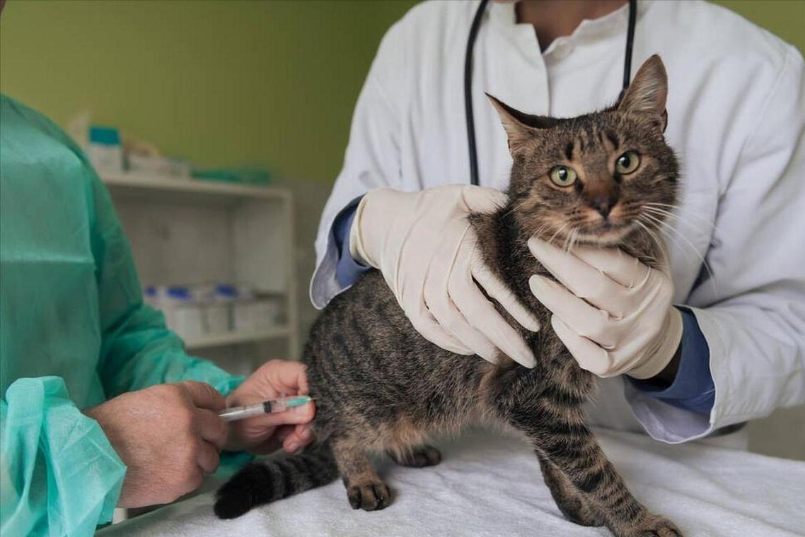 7大冷门专业,7个冷门专业