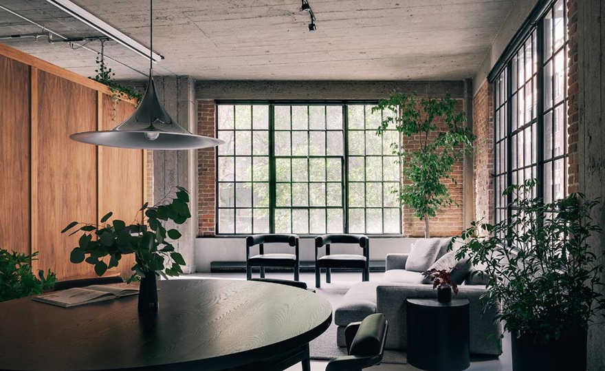 typology涓枃,typology