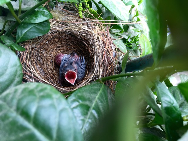 乡土散文消失的村庄,乡土散文朗诵
