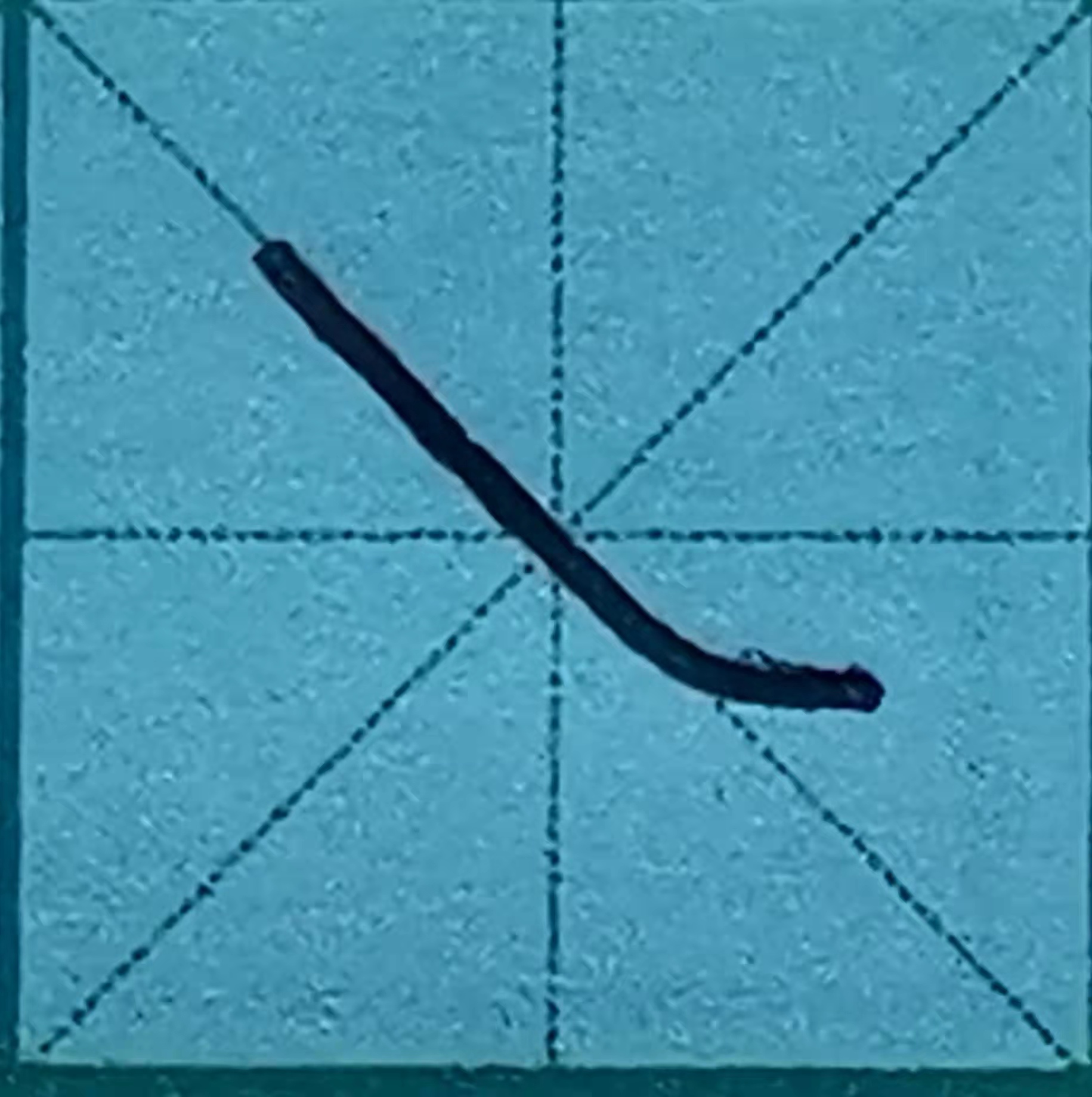 少儿书法入门基本笔画,少儿毛笔书法初学者入门教程