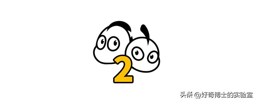 女生的胸，为什么忽软忽硬？（男生禁入）