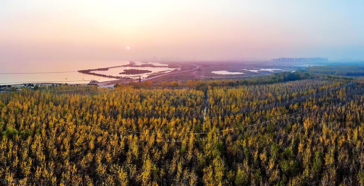合肥十大爬山景点排名一览表,合肥最好玩的景点推荐三日游