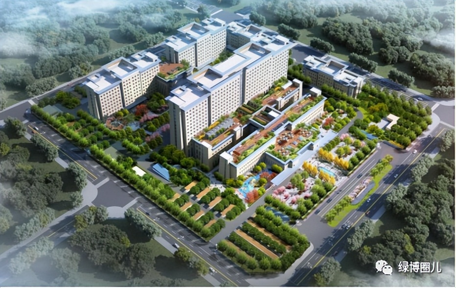 郑大三附院郑州分院,郑大三附院最新消息