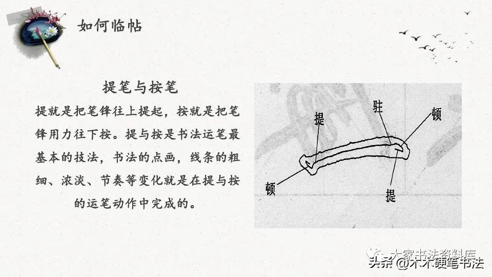 中国书法培训学校,中国书法培训教程行书