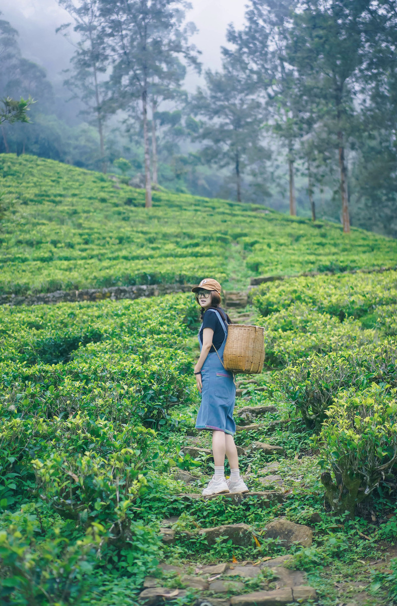 斯里兰卡旅游攻略必去景点,斯里兰卡最佳旅游攻略