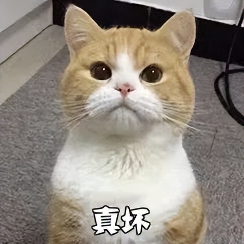 事关征信这些套路千万别中招,新版征信抢先看