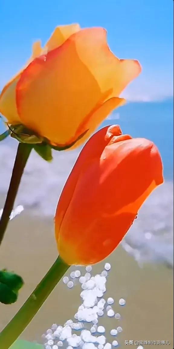 鸟语花香百花争艳让人陶醉,宁静祥和鸟语花香