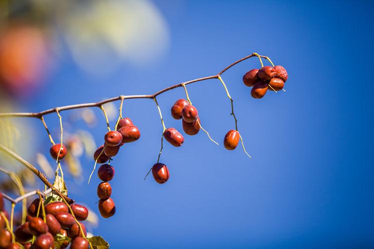 <html>
<head><title>502BadGateway</title></head>
<body>
<center><h1>502BadGateway</h1></center>
<hr><center>nginx</center>
</body>
</html>
<!--apaddingtodisableMSIEandChromefriendlyerrorpage-->
<!--apaddingtodisableMSIEandChromefriendlyerrorpage-->
<!--apaddingtodisableMSIEandChromefriendlyerrorpage-->
<!--apaddingtodisableMSIEandChromefriendlyerrorpage-->
<!--apaddingtodisableMSIEandChromefriendlyerrorpage-->
<!--apaddingtodisableMSIEandChromefriendlyerrorpage-->
