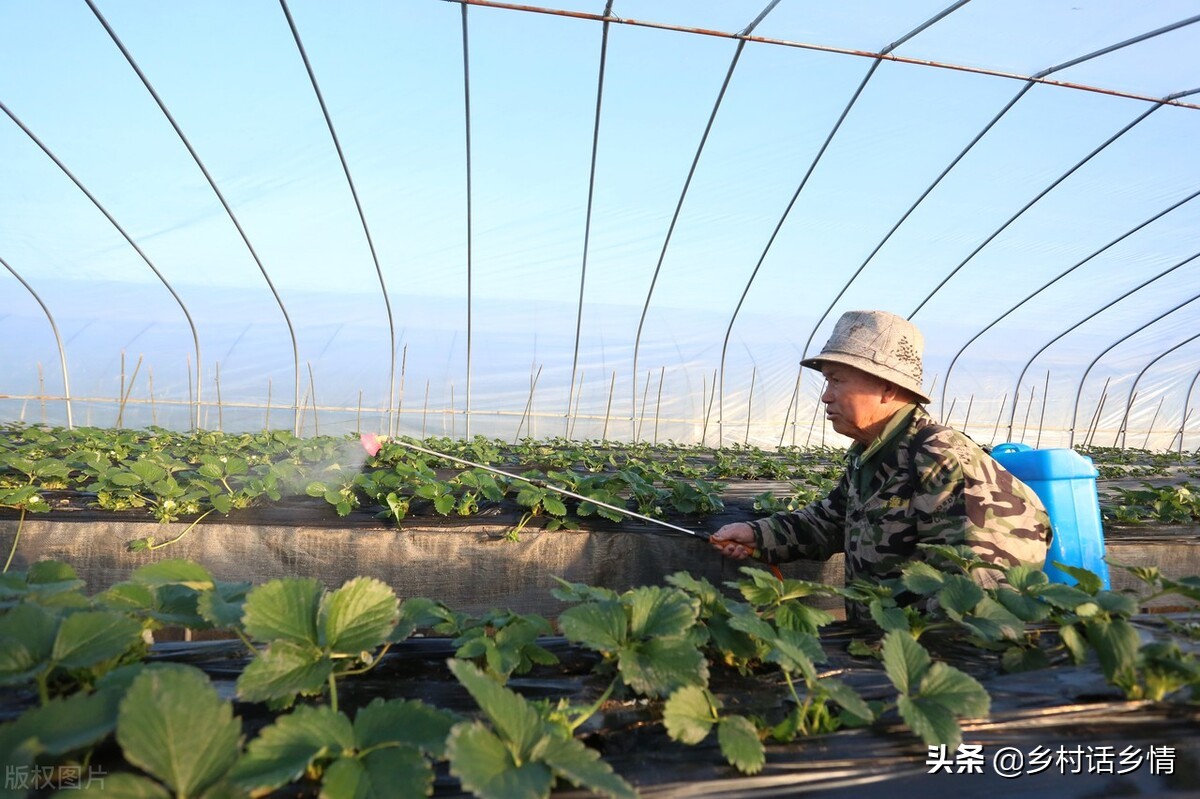 磷酸二氢钾假的成分,磷酸二氢钾是假的怎么办