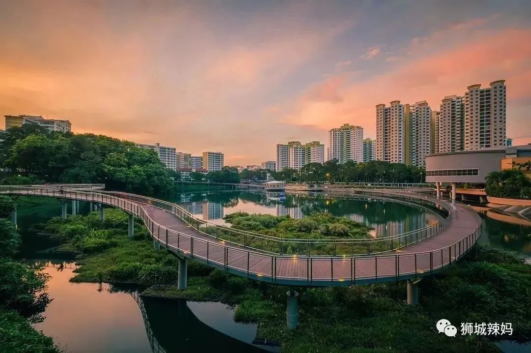 新加坡遛娃免费景点推荐一下,新加坡周末遛娃