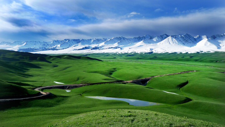 这个夏天一起去看草原的图片,这个夏天就想一个人去看草原