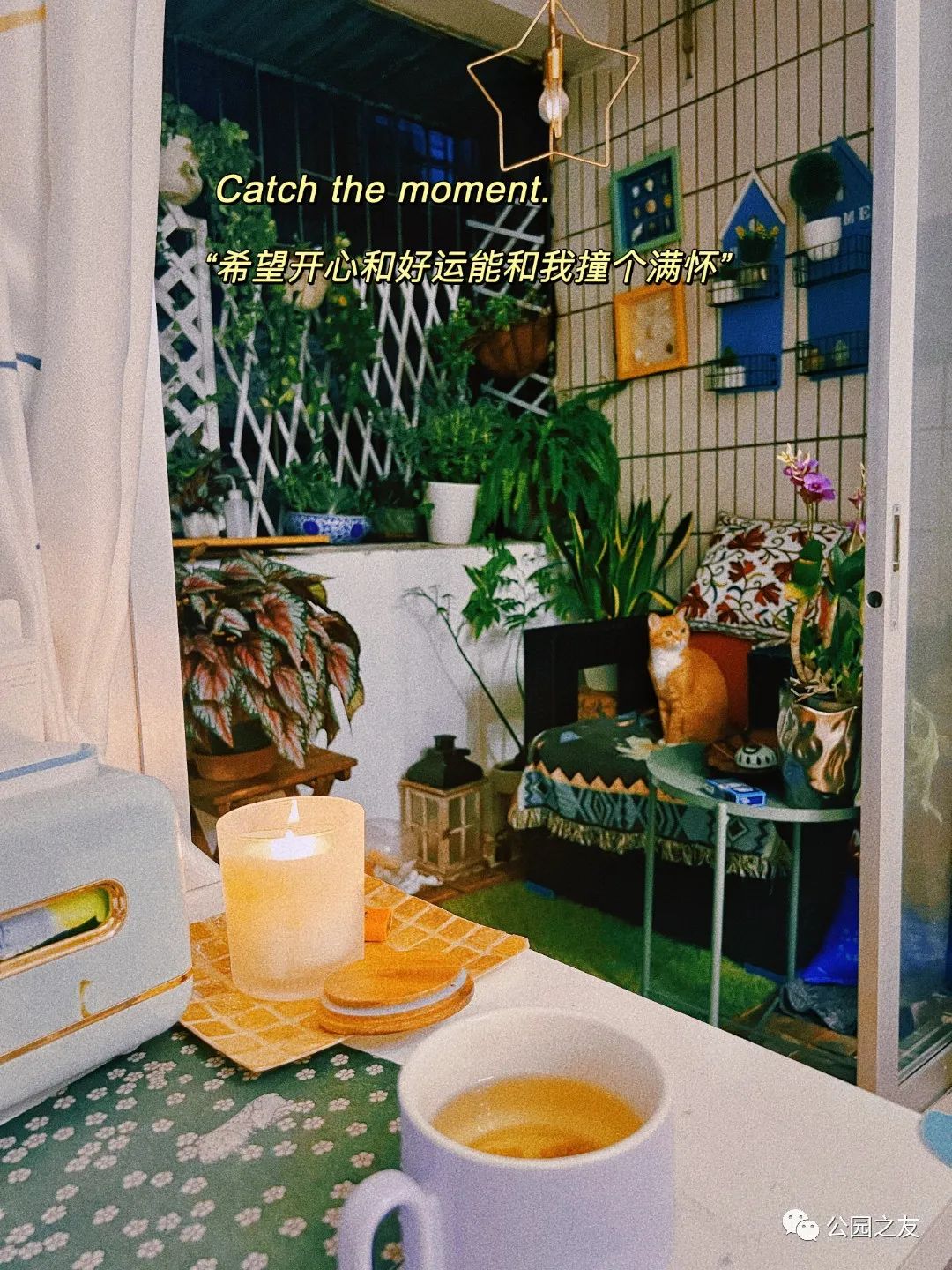 很多人羡慕的阳台,让别人羡慕的阳台