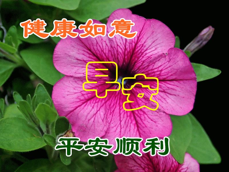 早上好祝福图片带字周末,早晨好漂亮祝福图片带字