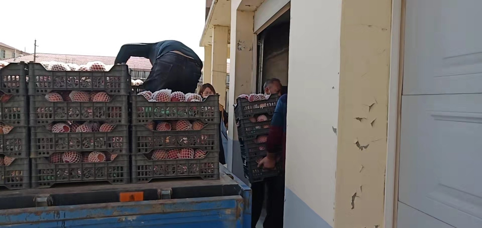 闈掑矝涓拌鍐滃寲,闈掑矝涓拌鍐滆祫