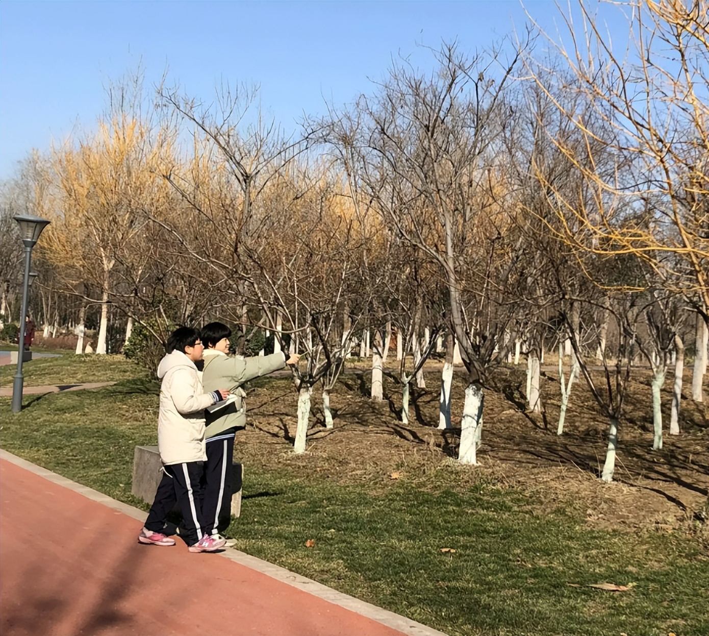 音响声音太吵杂了怎么办,外面音响太吵怎么办