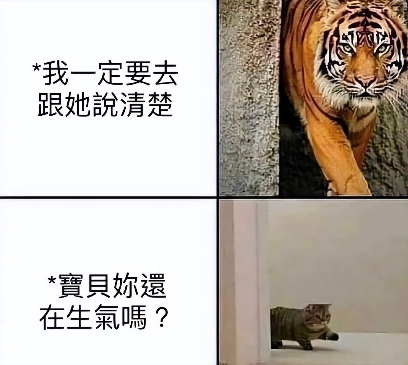 NO.3今日笑话不懂就问，老师的副业真都这么有趣吗