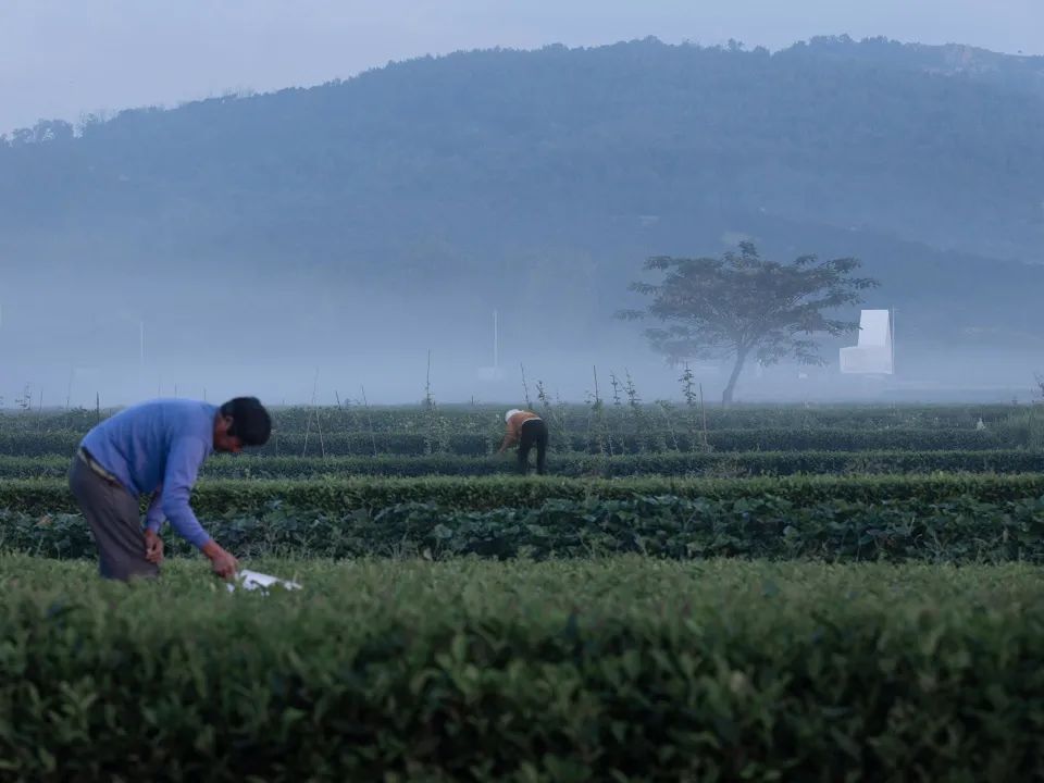 乡村网红民宿装修风格,乡村网红民宿改造清单