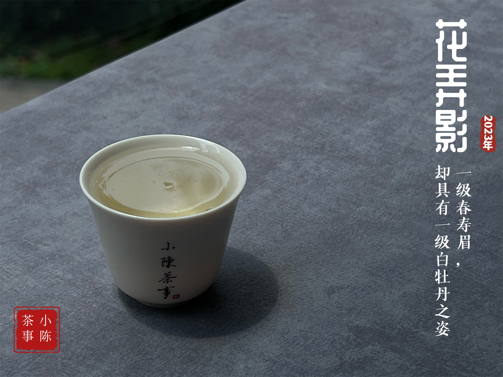 1斤白茶要多少斤青茶,一斤白茶需多少茶青