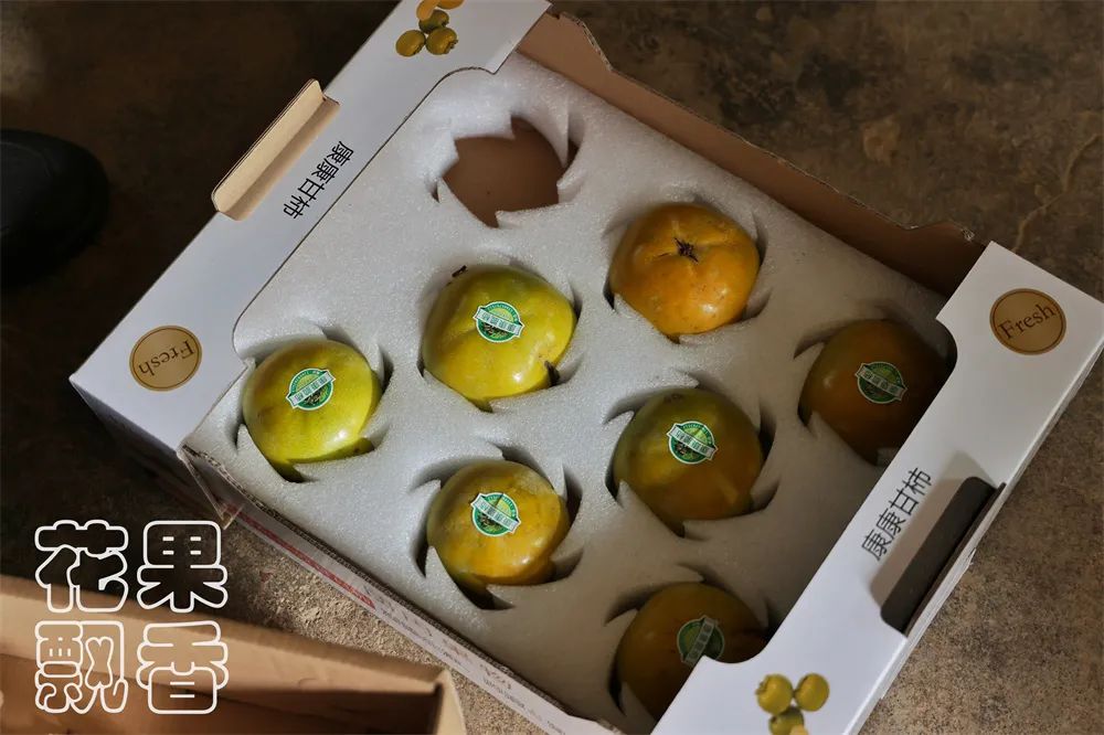 老农告诉大家农作物种植,农资人对农户的忠告