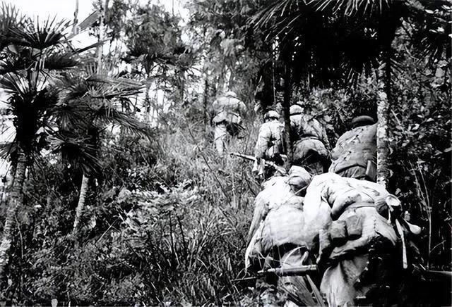 遵义正安县剿匪实录,遵义剿匪记40集