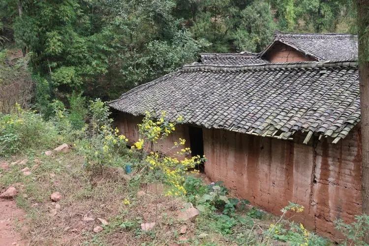 越南新娘骗局,越南新娘婚姻骗局