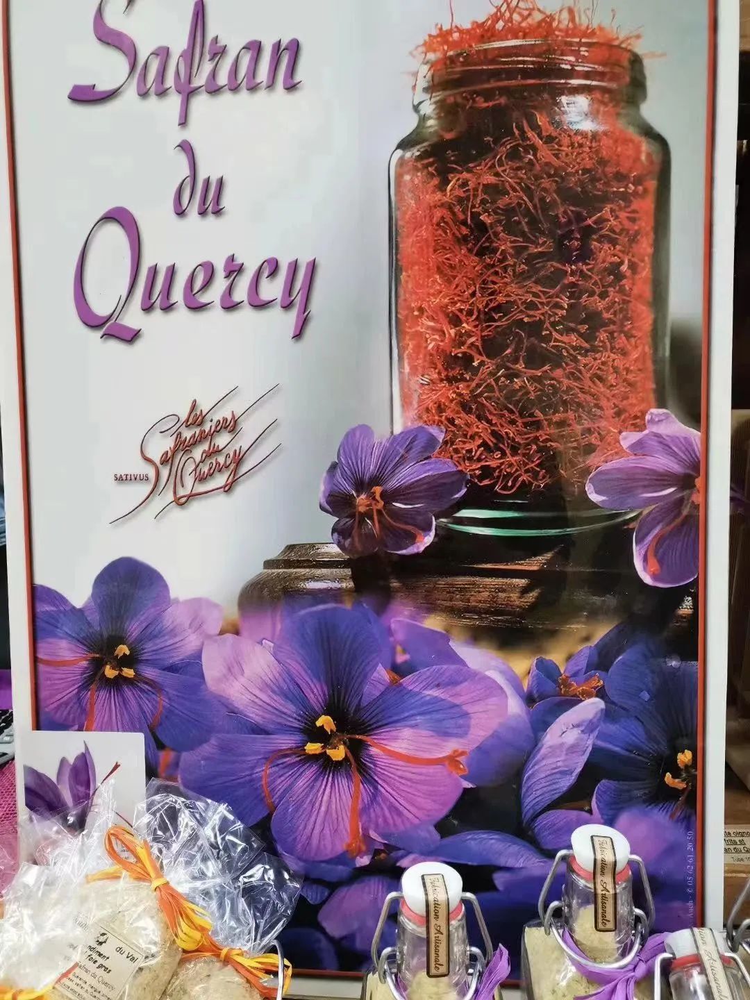 老人的智慧：仙草花的魅力，4种花草美丽养人，为全家带来福音