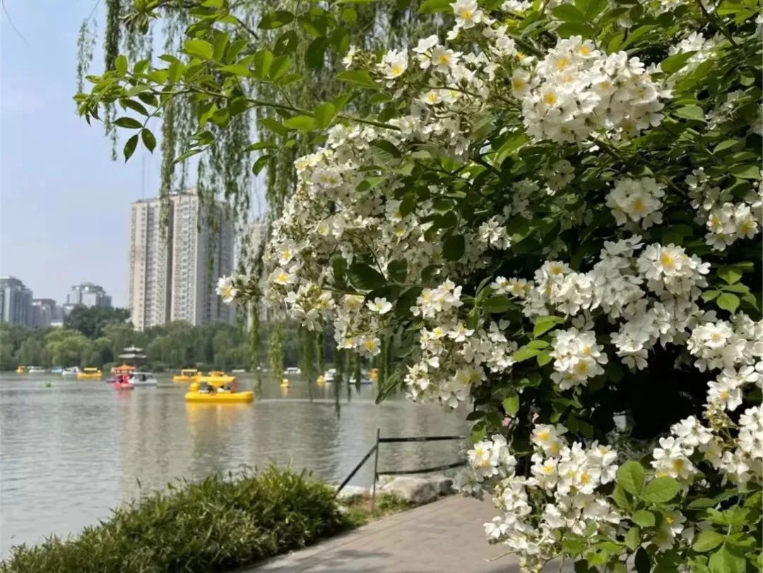 海淀旅游必去十大景点推荐,海淀区旅游免费景点推荐